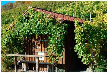 Weinbergshäuschen auf dem Wachtkopf-Rundweg