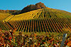 Blick auf den Wachtkopf