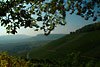 Blick auf die Gündelbacher Weinberge